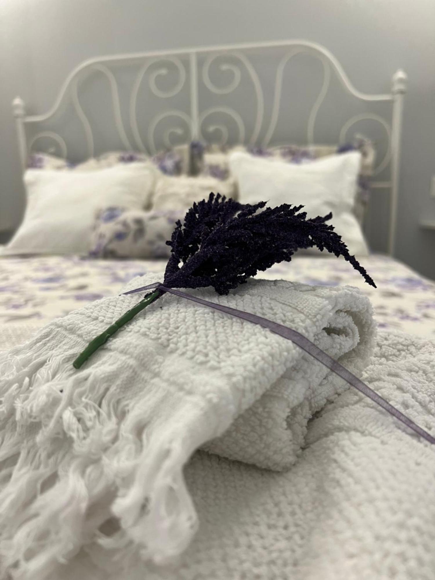B&B Puglia D'Amare Lizzano  Cameră foto